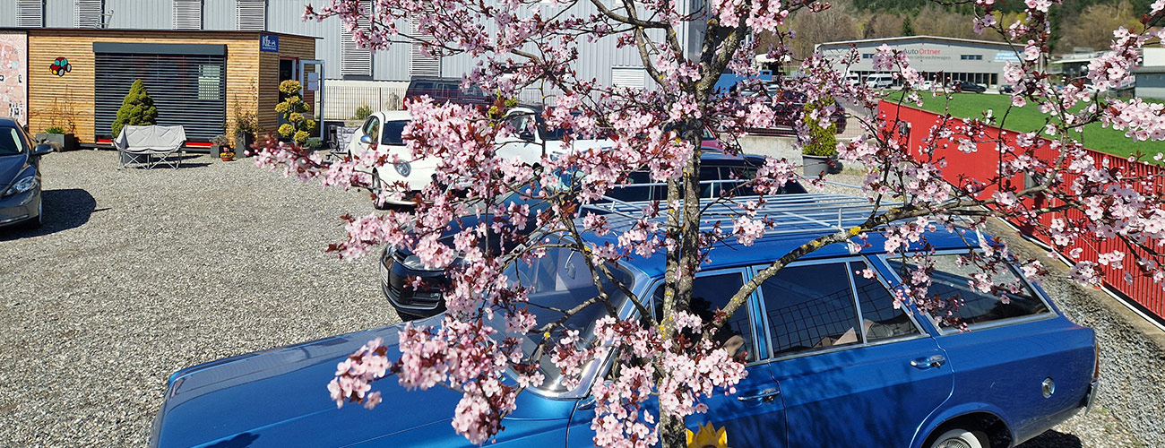 Auto Forum AW - Fahrzeughandel